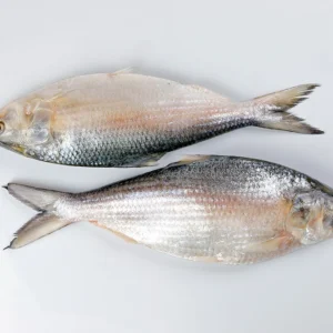 Hilsa (Ilish)