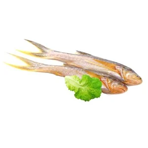 Topshe (Mango Fish)